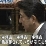 レス104番の画像1