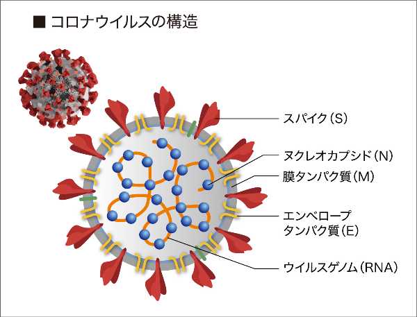 記事サムネイル