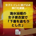 レス1番のリンク先のサムネイル画像
