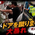 レス1番のリンク先のサムネイル画像