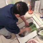レス32番のリンク先のサムネイル画像