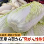 レス1番のリンク先のサムネイル画像