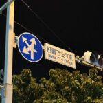 レス18番の画像6