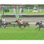 レス1番のリンク先のサムネイル画像