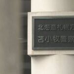 レス1番のリンク先のサムネイル画像