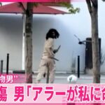 レス1番のリンク先のサムネイル画像