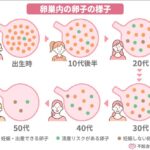 レス193番の画像1