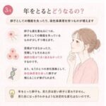 レス106番の画像1