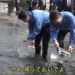レス30番の画像1