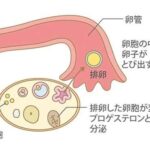 レス220番の画像1