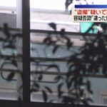 レス1番のリンク先のサムネイル画像